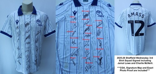 2025 sheffield wednesday - 2025-26,