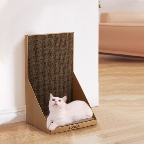 Cat kitten cardboard sofa - kitten,