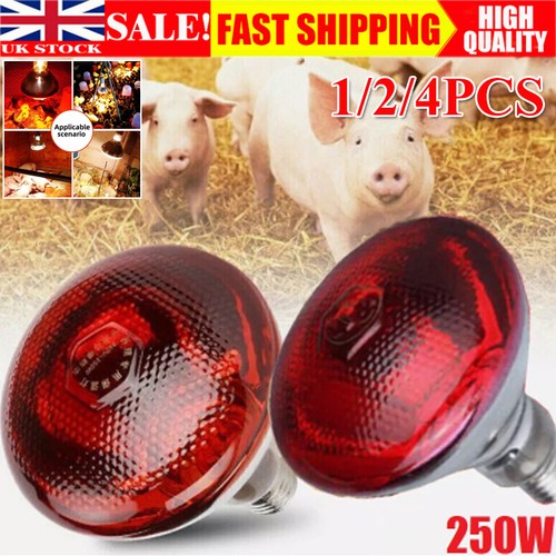 Infra red heat bulb - 1-4x,