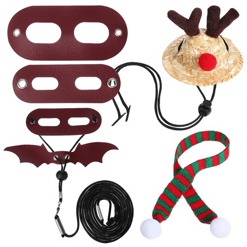 Bearded dragon christmas hat - christmas,