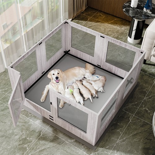 Large tempered glass pet - large,