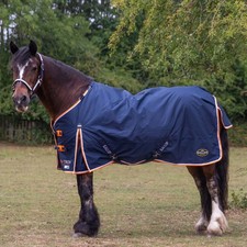 Gallop Trojan Duraproof 100g Horse Turnout Rug, Std Neck Lightweight Rug