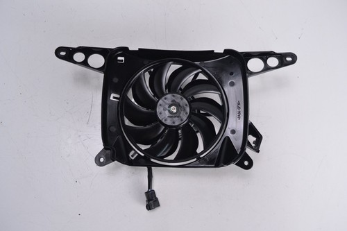 Radiator fan triumph street - fan,
