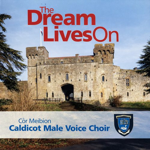 Caldicot male voice - male,
