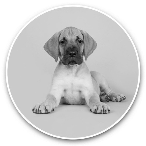 Vinyl stickers 5cm - x, (bw)