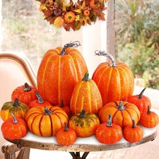 Benjia Pumpkin Autumn