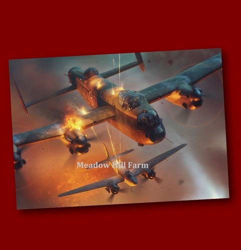 Fridge magnet raf - magnet,