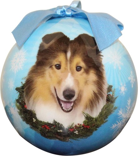Sheltie shetland sheepdog - sheltie,