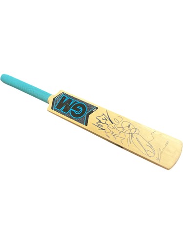 Cricket bat signed - gm,