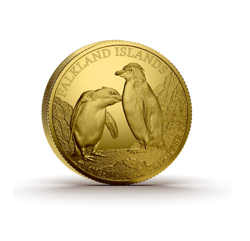 2026 falkland islands - 2026,