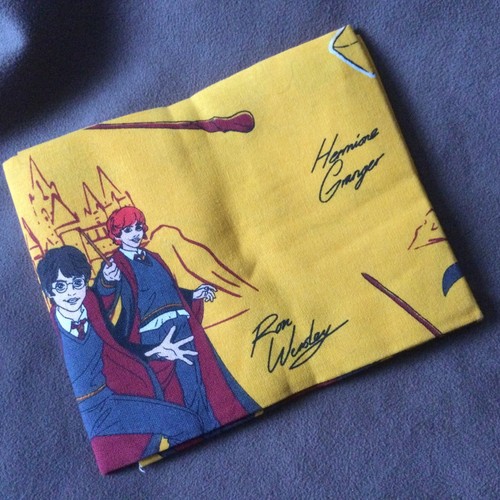 Harry potter - harry, hermione