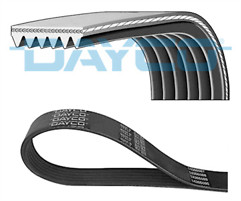 Dayco ribbed belt ribs - belt,