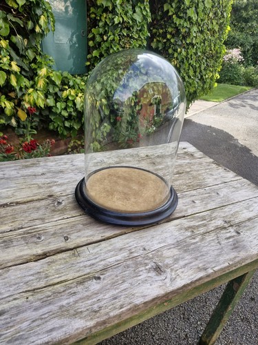 Victorian glass dome - glass, for