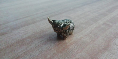 Fabulous little highland - fabulous, cow