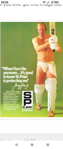 Cricket pads - sp,
