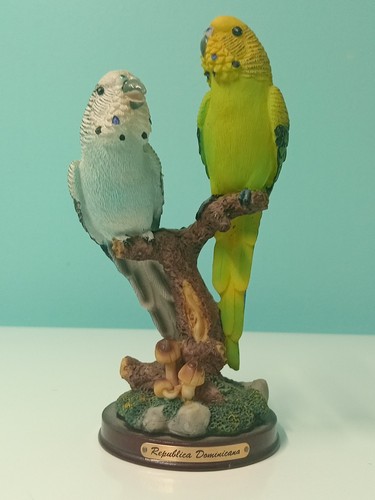 Pair parrots artistic - pair,