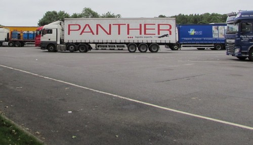 Photo 6x4 panther - photo,