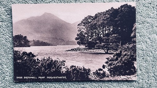 Vintage postcard broomhill - vintage,