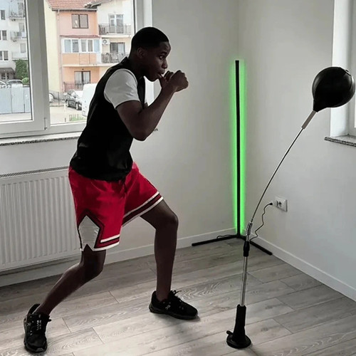 Punching bag boxing - punching, agility