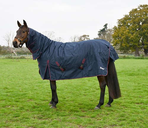 Heavyweight turnout rug - turnout,