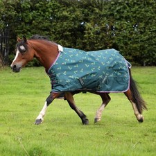 Shires Winnie & Me 100g Turnout Rug - Green | Equestrian | Horsewear