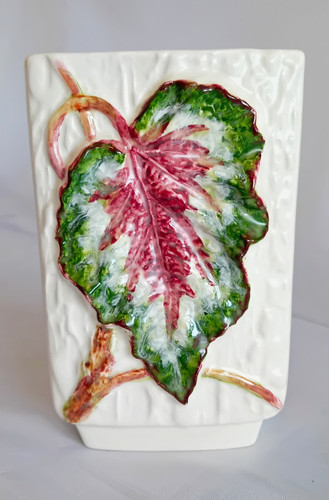 Vintage sylvac begonia - begonia, rex