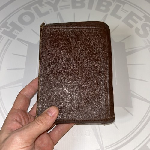 Holy bible king - holy,