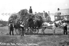 zmm-86 Heavy Horse Hay Cart, Croydon, Surrey 1910. Photo