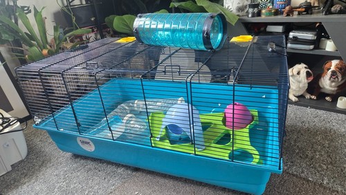 Large hamster cage 50 - hamster, ×