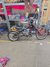 Shiwin Stingray Bike