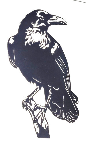 Crow raven bird - 1x,