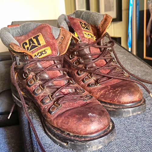 Cat caterpillar brown leather - cat,