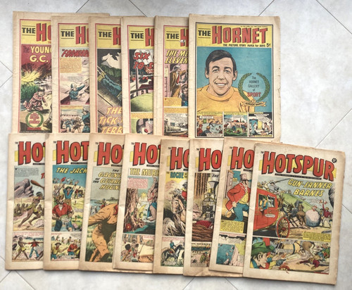Vintage 1960s hotspur hornet - vintage,