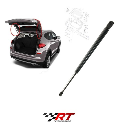 Boot gas strut tail gate - gas,