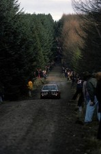 Datsun Violet during the RAC