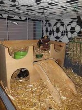 LINER for Guinea Pig House