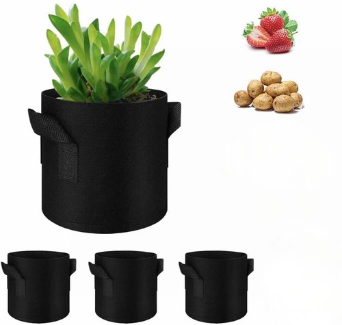 Pack potato tomato plants - pack,