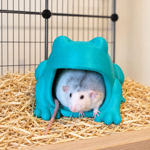 Frog rat hide - turquoise, floor