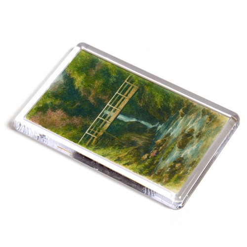 Fridge magnet pecca falls - pecca,
