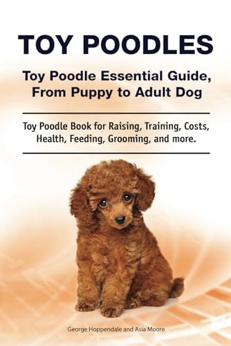 Toy poodles poodle - poodles.,