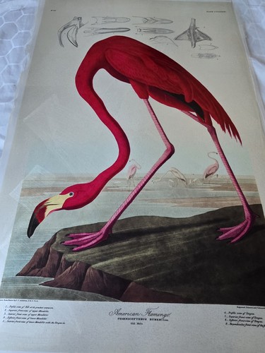 John james audubon fine - james, art