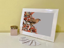 Art Print Image Picture Photo