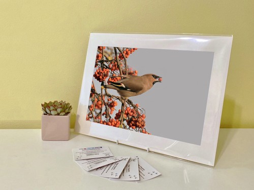 Art print image picture photo - image,