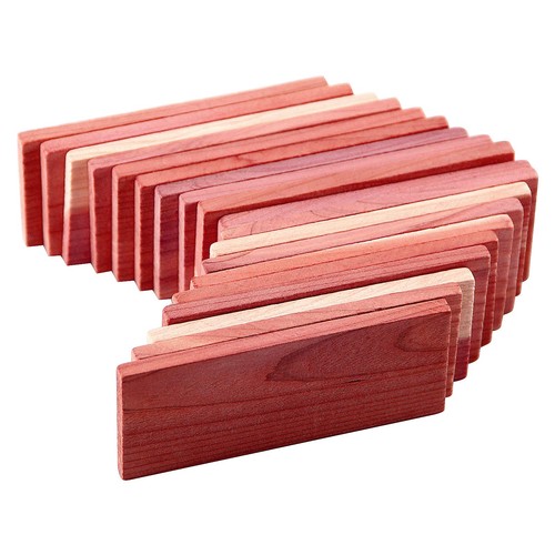 Cedar space - cedar, for