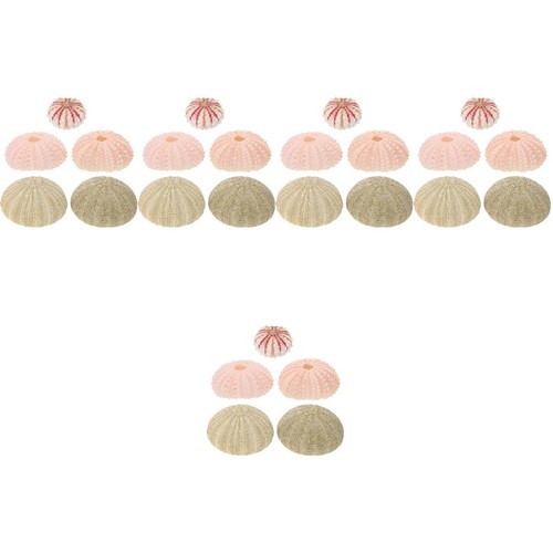 25pcs sea urchin shells - sea,