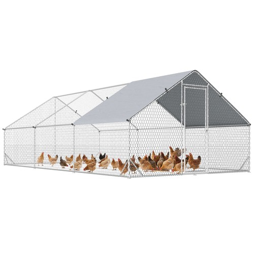 Pawhut walk chicken - pawhut,