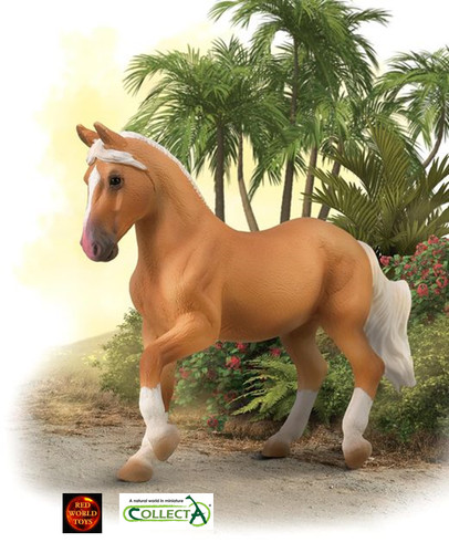 Paso fino mare palomino - fino,