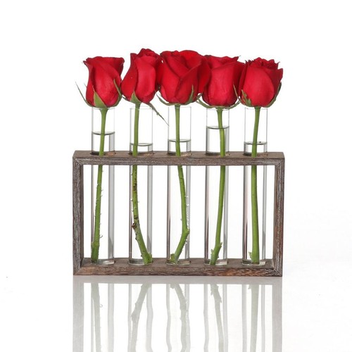 Glass test tube - test, vase