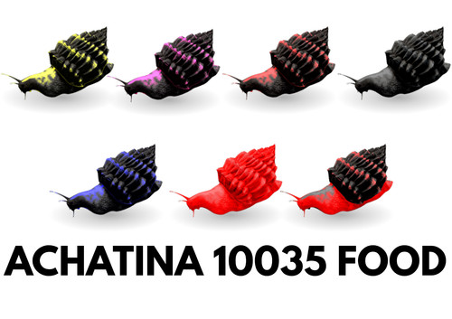Achatina 10035 food top - food, stats