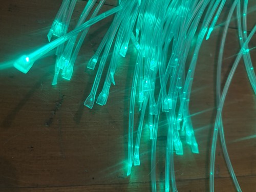 Fibre optic sensory harness